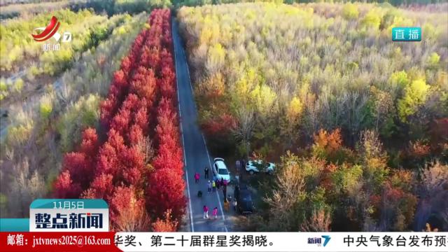 整点新闻20251105 10:00