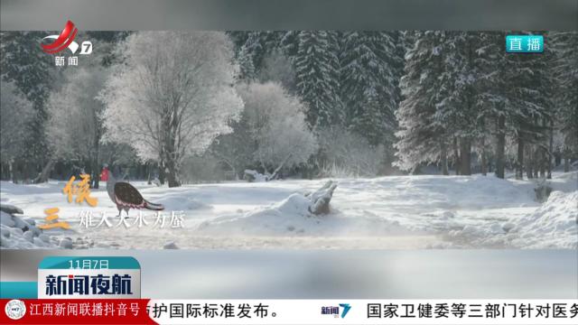 【冬之伊始 万物收藏】倏忽秋已尽 今朝恰立冬