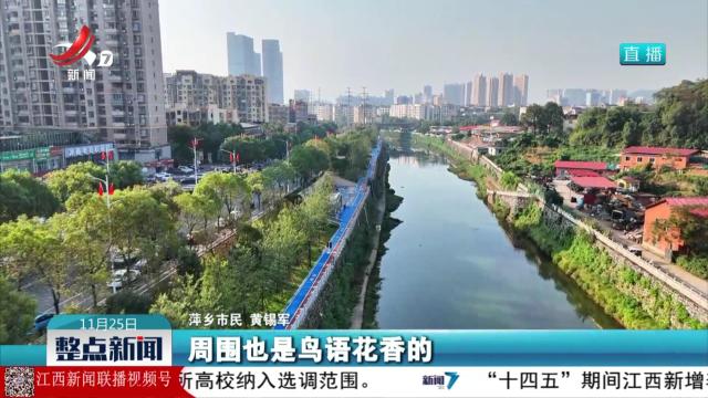 【辉煌“十四五” “赣”出新精彩】江西：“美丽细胞”绘就美丽江西新图景