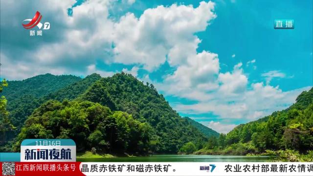 【辉煌“十四五” “赣”出新精彩】江西：深化集体林权制度改革 山林变“绿色银行”