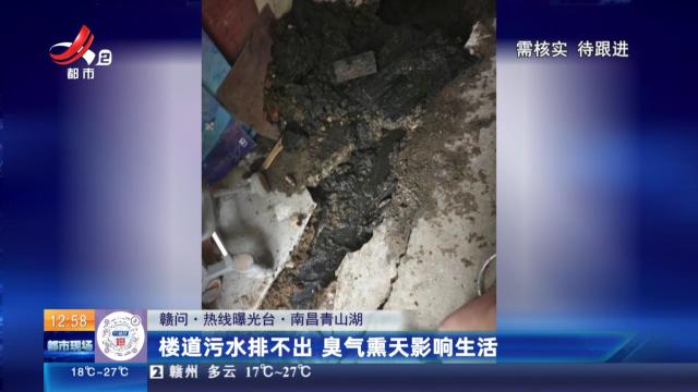 【赣问·热线曝光台】南昌青山湖：楼道污水排不出 臭气熏天影响生活