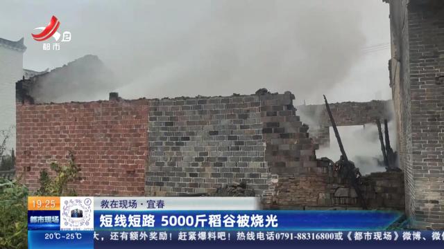 【救在现场】宜春：短线短路 5000斤稻谷被烧光