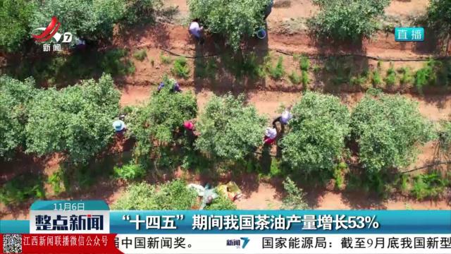 “十四五”期间我国茶油产量增长53％