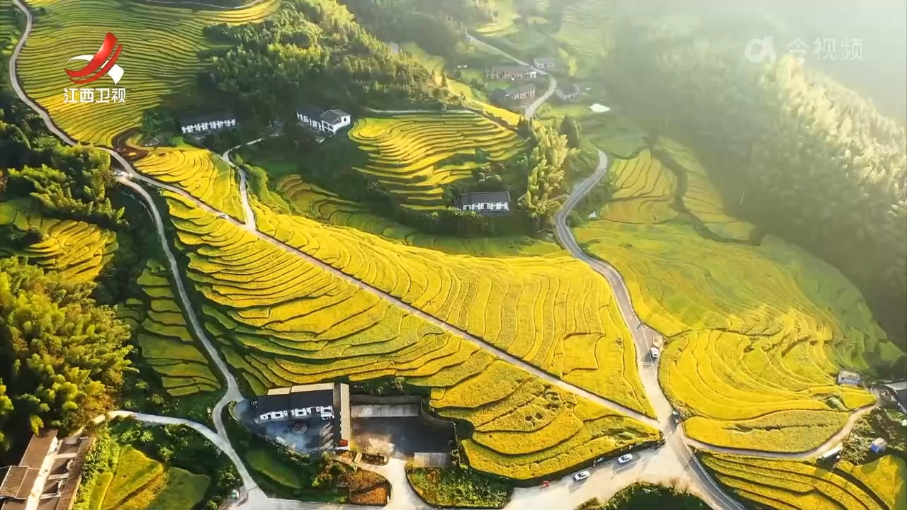 赏美丽秋韵 品丰收滋味