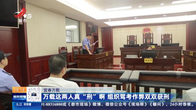 宜春万载：万载这两人真“刑”啊 组织驾考作弊双双获刑