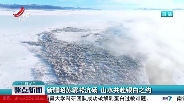 新疆昭苏雾凇沆砀 山水共赴银白之约