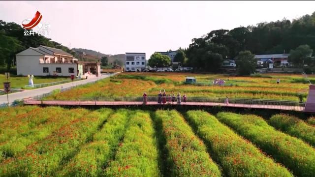 美丽江西在行动20251109 【电视评论】这样的“阿Q村长”多多益善