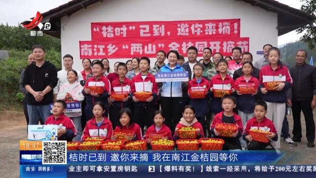 吉安遂川：“桔时”已到！ 南江乡的丰收甜滋味！