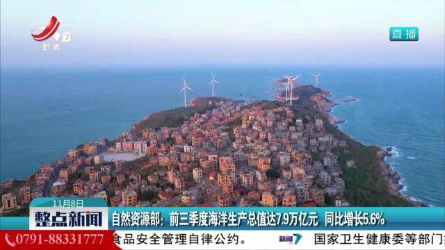 整点新闻20251108 12:00