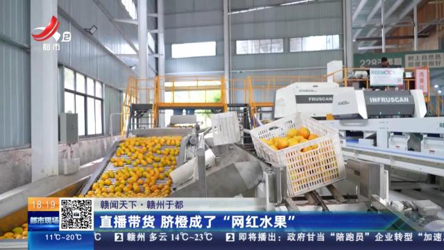 【赣闻天下】赣州于都：直播带货 脐橙成了“网红水果”