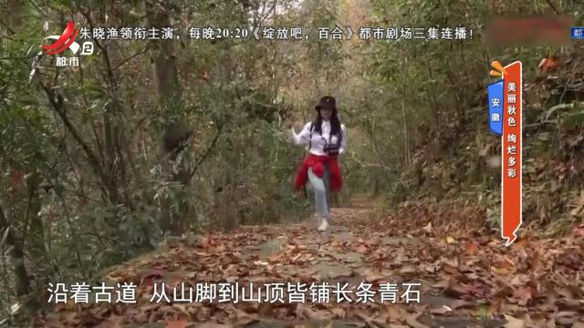 安徽——美丽秋色 绚烂多彩