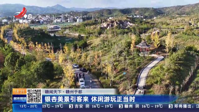 【赣闻天下】赣州于都：银杏美景引客来 休闲游玩正当时