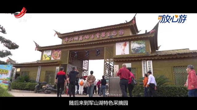 都市放心游20251109