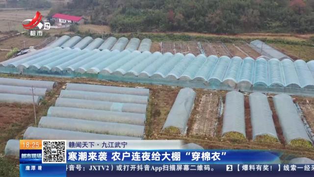 【赣闻天下】九江武宁：寒潮来袭 农户连夜给大棚“穿棉衣”