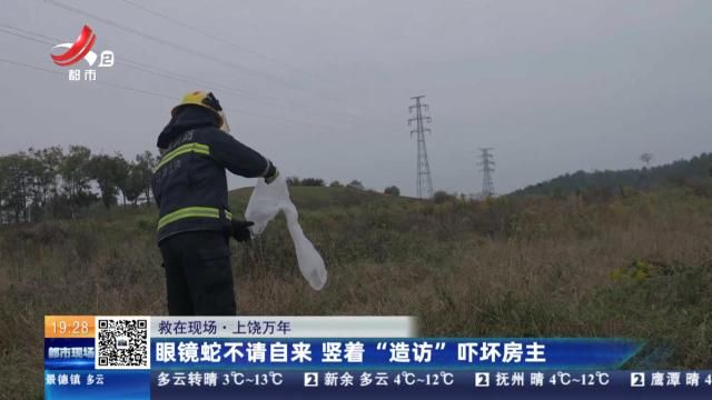 【救在现场】上饶万年：眼镜蛇不请自来 竖着“造访”吓坏房主
