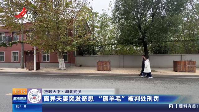 【放眼天下】湖北武汉：离异夫妻突发奇想 “薅羊毛”被判处刑罚