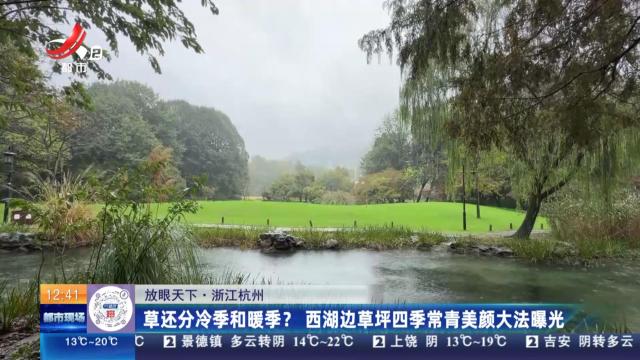 【放眼天下】浙江杭州：草还分冷季和暖季？ 西湖边草坪四季常青美颜大法爆光