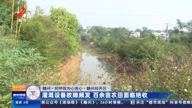 都市现场·午间版20251108