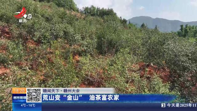 【赣闻天下】赣州大余：荒山变“金山” 油茶富农家