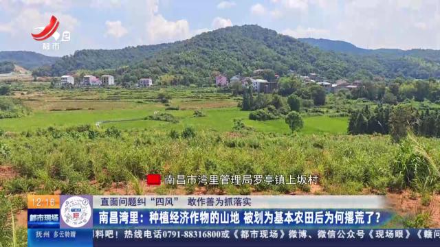 【直面问题纠“四风” 敢作善为抓落实】南昌湾里：种植经济作物的山地 被划为基本农田后为何撂荒了？