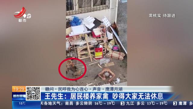 【赣问·民呼我为心连心·声音·鹰潭月湖】王先生：居民楼养家禽 吵得大家无法休息
