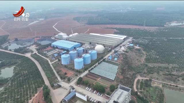 新余：秸秆循环“生金” 绿色农业增效