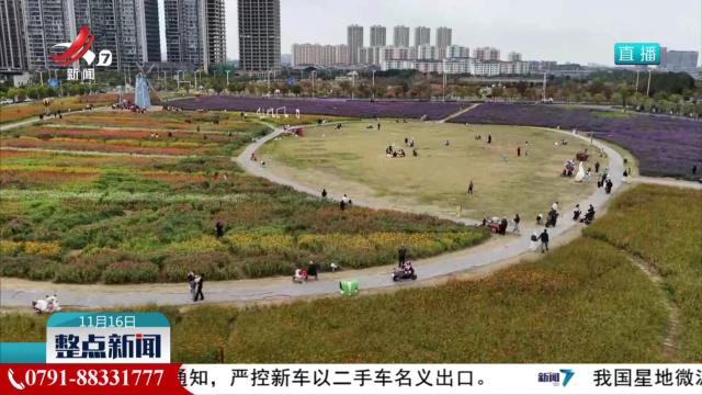 【我的城 我的家】公园“百花齐放” 拥抱自然之美