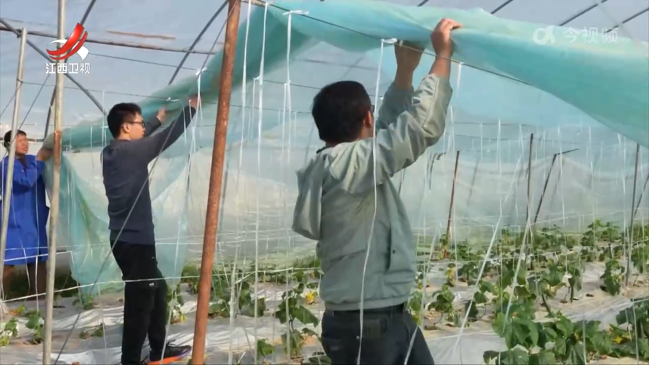 下周起寒潮来袭