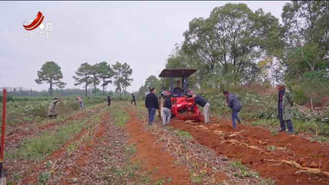 三农头条20251106