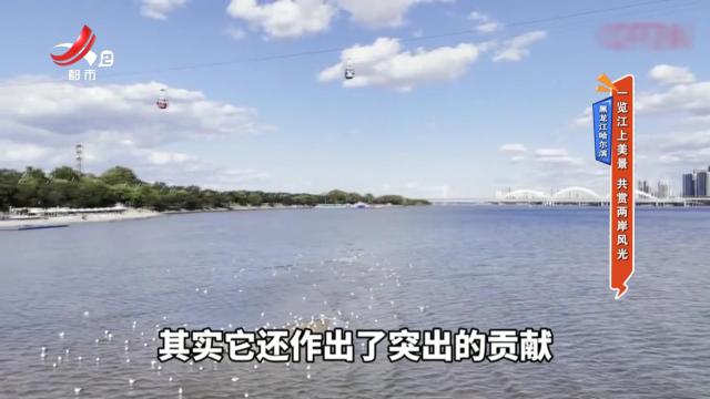 地宝当家20251110