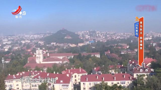 山东青岛：青岛秋天 颜值爆表