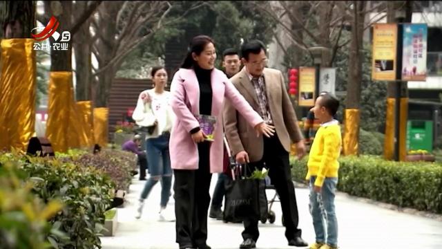 乡村栏目剧场20251108 城里的似水流年