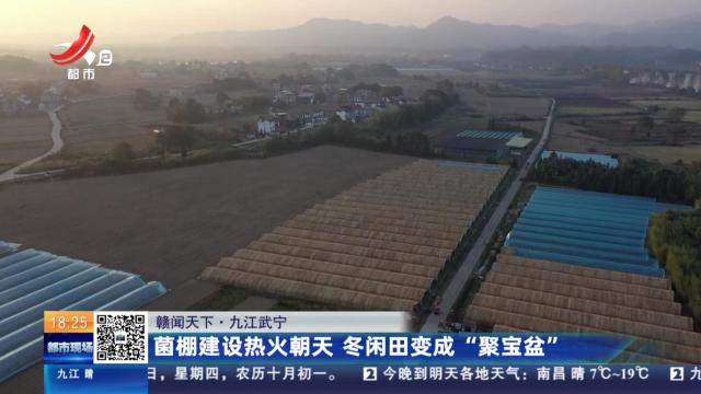 【赣闻天下】九江武宁：菌棚建设热火朝天 冬闲田变成“聚宝盆”
