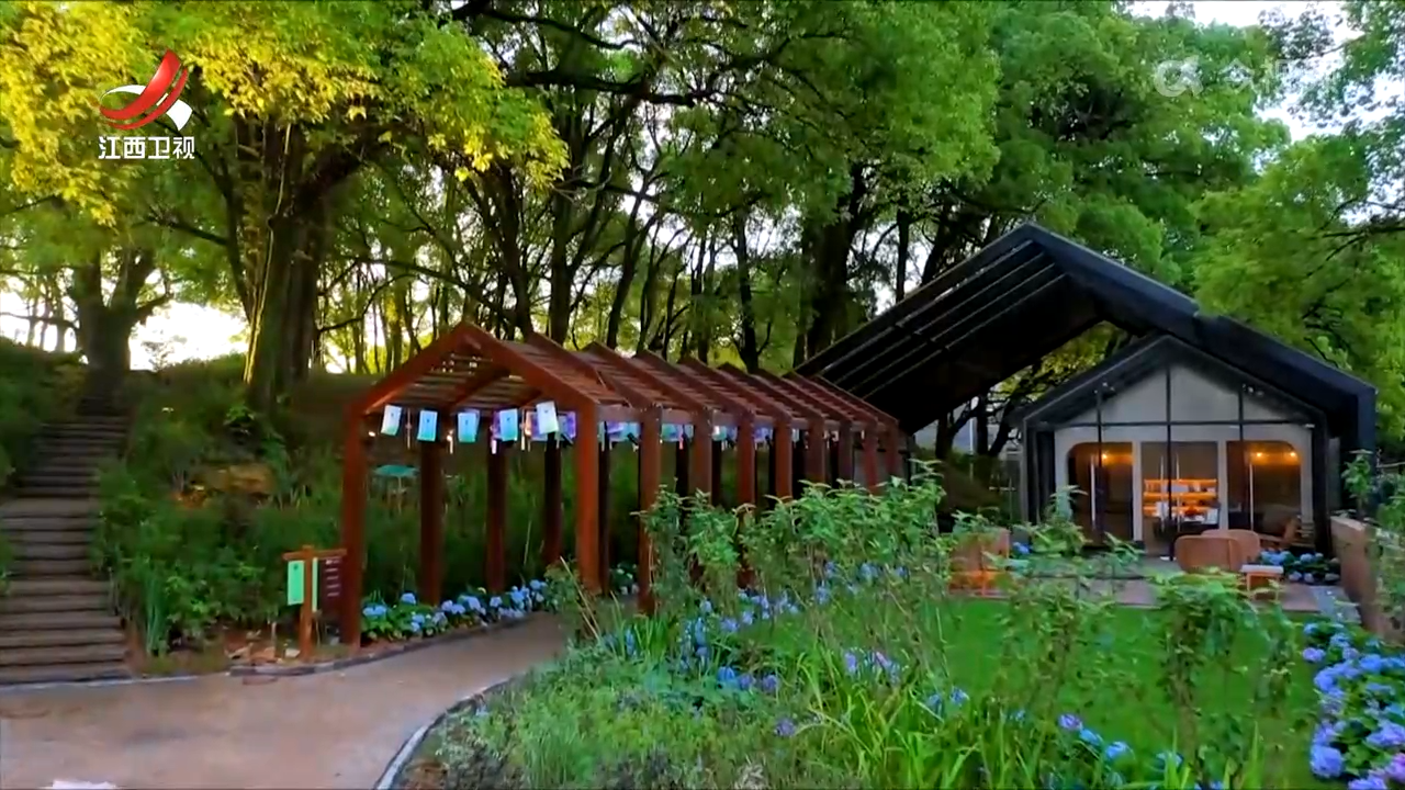 江西造林碳汇项目数居全国前列