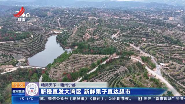 都市现场·午间版20251125