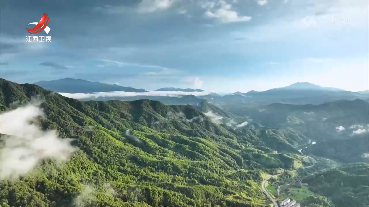 【辉煌“十四五” “赣”出新精彩】江西：深化集体林权制度改革 山林变“绿色银行”