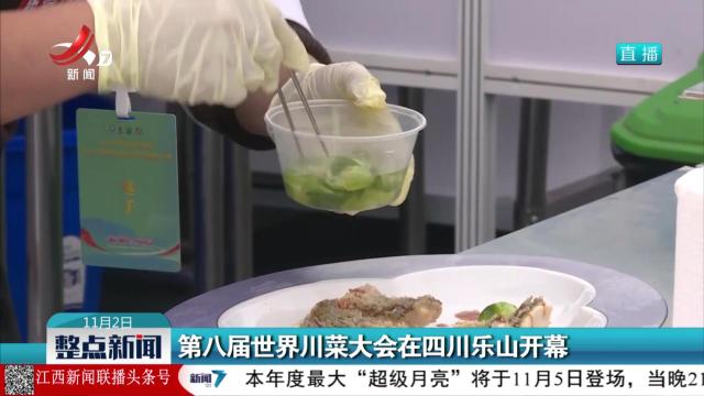 第八届世界川菜大会在四川乐山开幕