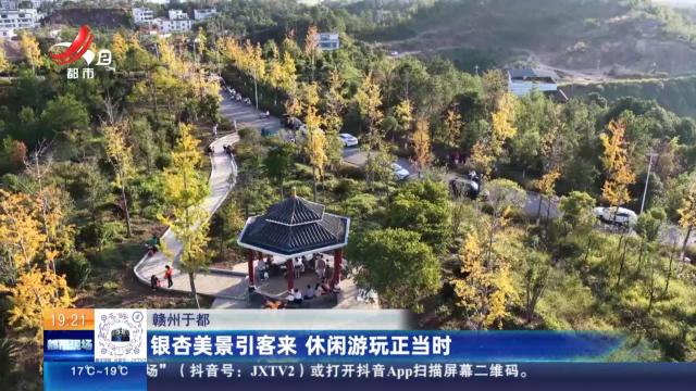 赣州于都：银杏美景引客来 休闲游玩正当时