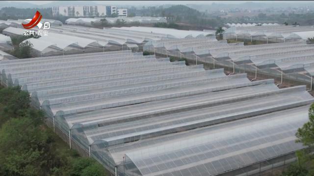 省委民声通道20251122