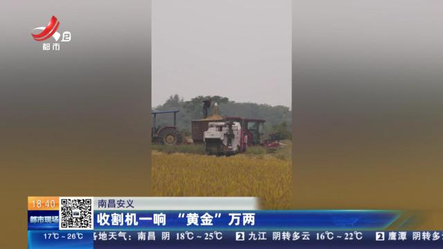 南昌安义：收割机一响 “黄金”万两