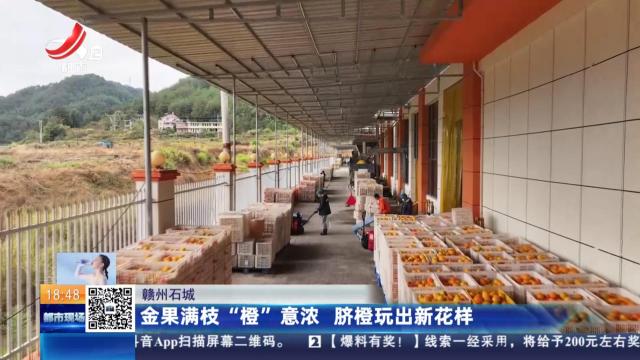赣州石城：金果满枝“橙”意浓 脐橙玩出新花样