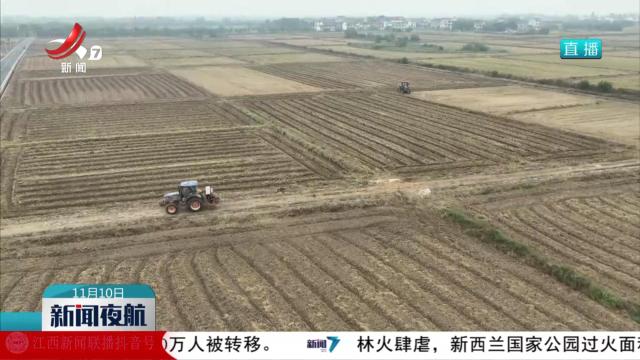 新闻夜航20251110