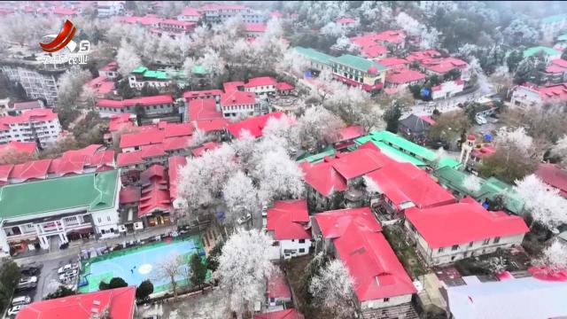 新闻晚高峰20251119