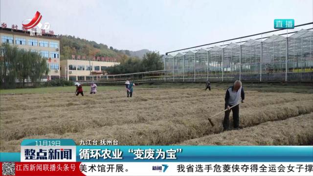 循环农业“变废为宝”