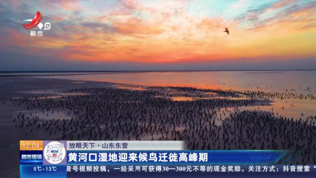 都市现场·午间版20251119