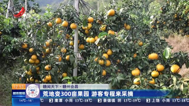 【赣闻天下】赣州会昌：荒地变300亩果园 游客专程来采摘