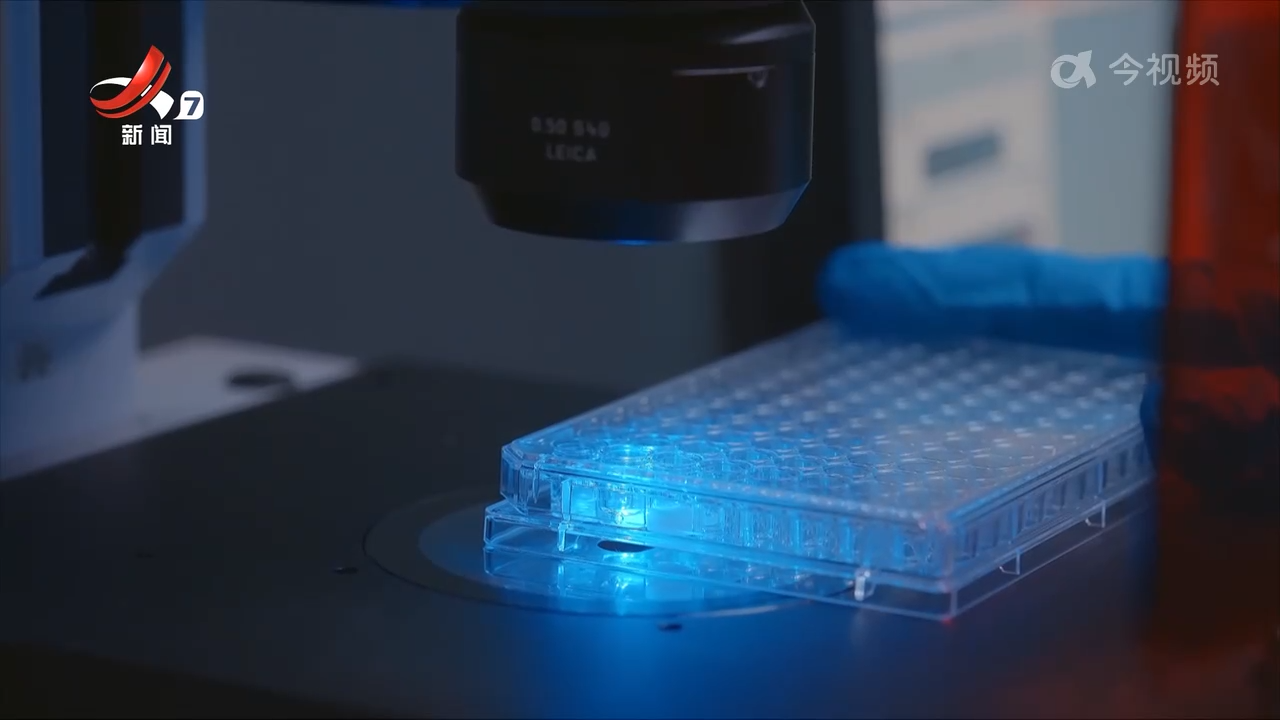 江西新闻联播20251113