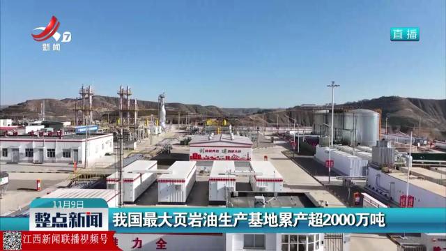 整点新闻20251109 12:00