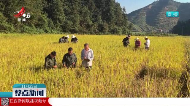 江西实施“种粮一体化”行动