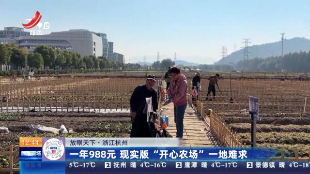 【放眼天下】浙江杭州：一年988元 现实版“开心农场”一地难求